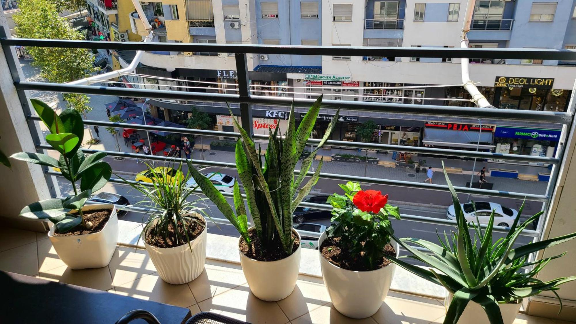 Marinela Apartment Тирана Экстерьер фото